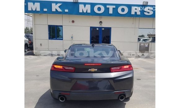 Buy Import Chevrolet Camaro Other Car in Import - Dubai in Batken Buy Import Chevrolet Camaro Other Car in Import - Dubai in Batken