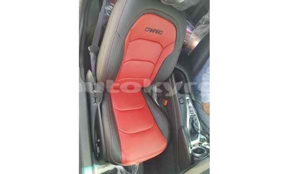 Buy Import Chevrolet Camaro Other Car in Import - Dubai in Batken Buy Import Chevrolet Camaro Other Car in Import - Dubai in Batken