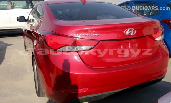 Buy Import Hyundai Elantra Red Car in Import - Dubai in Batken Buy Import Hyundai Elantra Red Car in Import - Dubai in Batken
