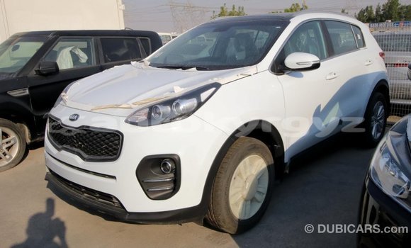 Buy Import Kia Sportage White Car in Import - Dubai in Batken