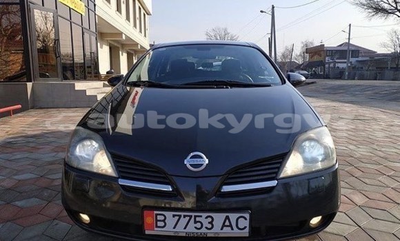 Buy Used Nissan Primera Black Car in Bishkek in Bishkek Buy Used Nissan Primera Black Car in Bishkek in Bishkek