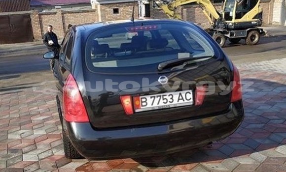 Buy Used Nissan Primera Black Car in Bishkek in Bishkek Buy Used Nissan Primera Black Car in Bishkek in Bishkek