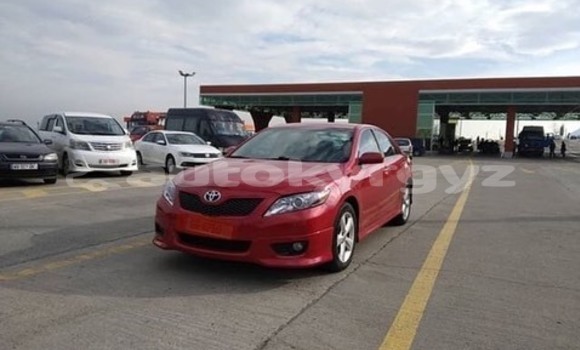 Buy Used Toyota Camry Red Car in Bishkek in Bishkek Buy Used Toyota Camry Red Car in Bishkek in Bishkek