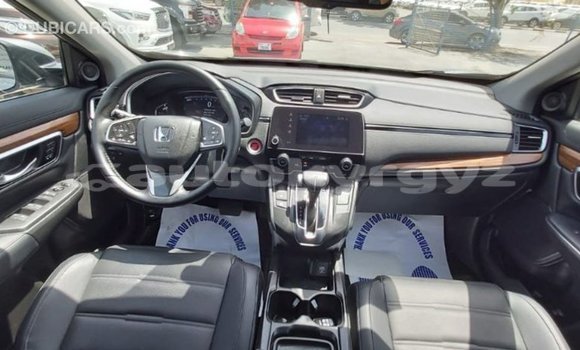 Buy Import Honda C Other Bike in Import - Dubai in Batken Buy Import Honda C Other Bike in Import - Dubai in Batken