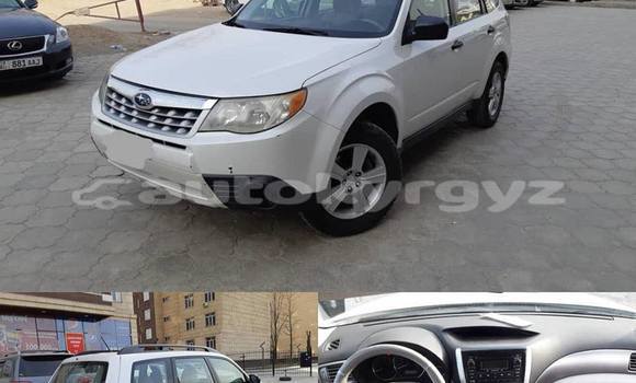 Buy Used Subaru Forester White Car in Bishkek in Bishkek Buy Used Subaru Forester White Car in Bishkek in Bishkek