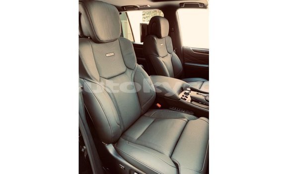 Buy Import Lexus LX Black Car in Import - Dubai in Batken Buy Import Lexus LX Black Car in Import - Dubai in Batken