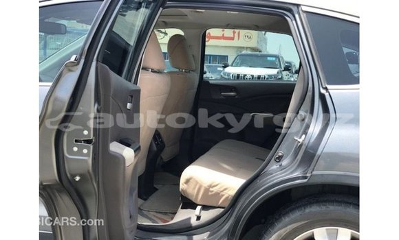 Buy Import Honda C Other Bike in Import - Dubai in Batken Buy Import Honda C Other Bike in Import - Dubai in Batken