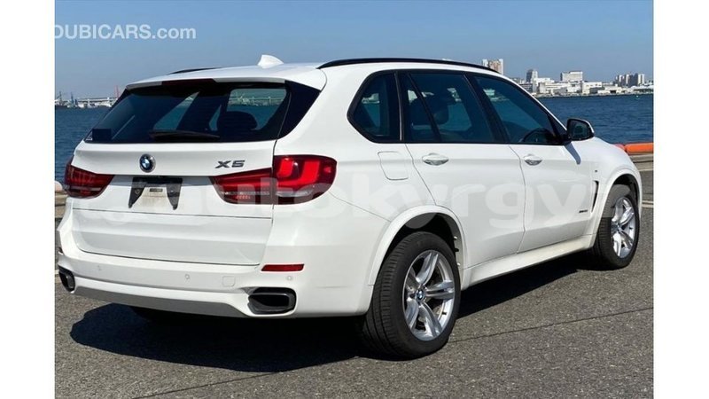 Big with watermark bmw x5 batken import dubai 3801