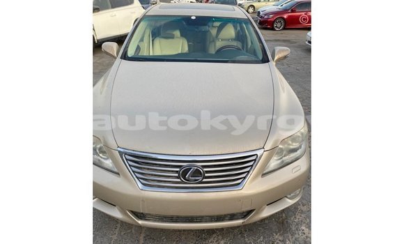 Buy Import Lexus LS Other Car in Import - Dubai in Batken Buy Import Lexus LS Other Car in Import - Dubai in Batken