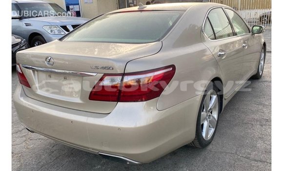Buy Import Lexus LS Other Car in Import - Dubai in Batken Buy Import Lexus LS Other Car in Import - Dubai in Batken