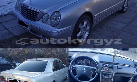 Buy Used Mercedes-Benz E-klasse Silver Car in Bishkek in Bishkek