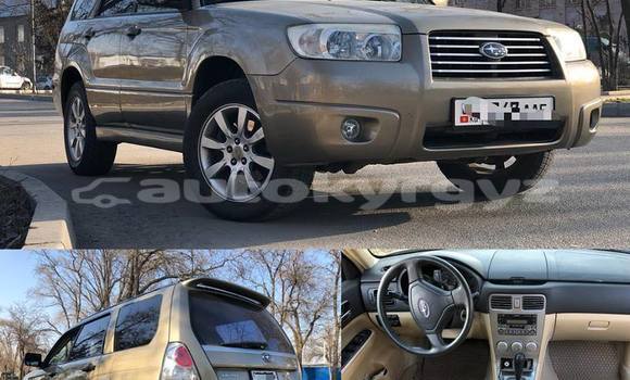 Buy Used Subaru Forester Brown Car in Bishkek in Bishkek