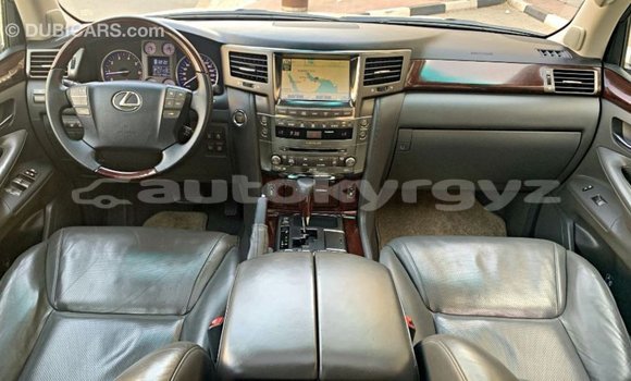 Buy Import Lexus LX Other Car in Import - Dubai in Batken Buy Import Lexus LX Other Car in Import - Dubai in Batken