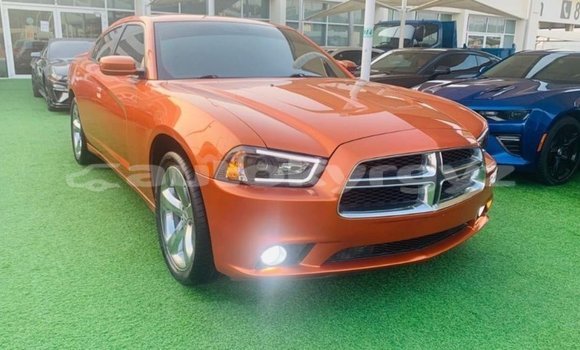 Buy Import Dodge Charger Other Car in Import - Dubai in Batken