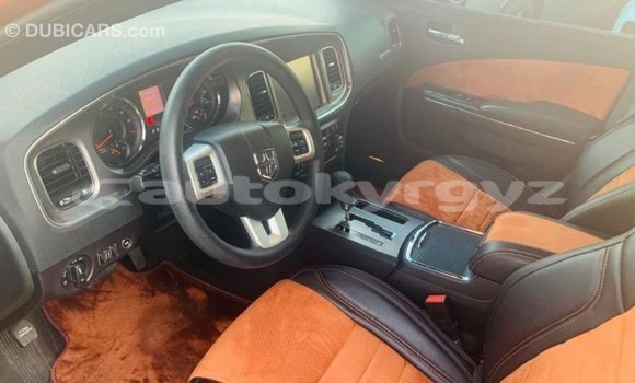 Buy Import Dodge Charger Other Car in Import - Dubai in Batken Buy Import Dodge Charger Other Car in Import - Dubai in Batken