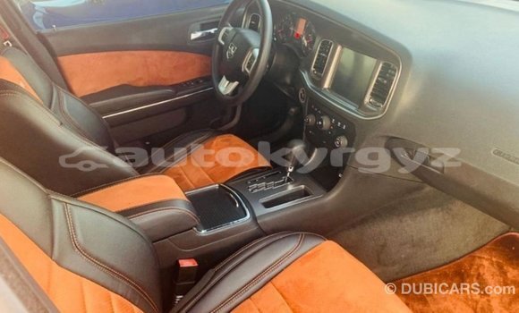 Buy Import Dodge Charger Other Car in Import - Dubai in Batken Buy Import Dodge Charger Other Car in Import - Dubai in Batken