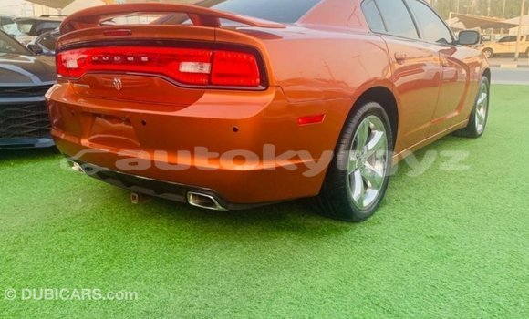 Buy Import Dodge Charger Other Car in Import - Dubai in Batken Buy Import Dodge Charger Other Car in Import - Dubai in Batken