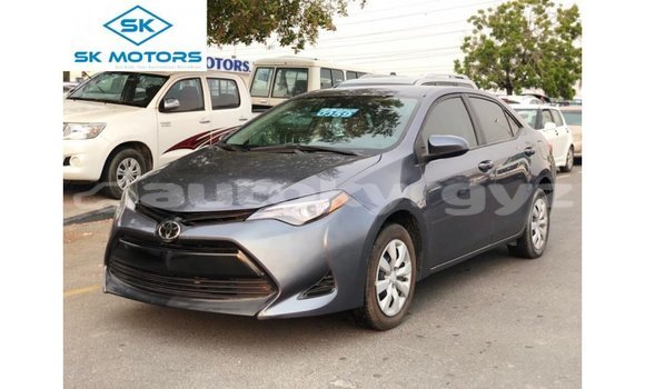 Buy Import Toyota Corolla Other Car in Import - Dubai in Batken