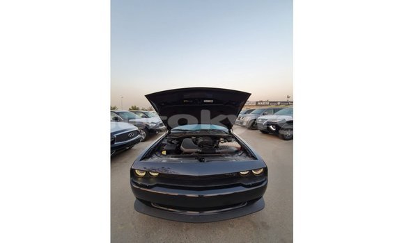 Buy Import Dodge Challenger Black Car in Import - Dubai in Batken Buy Import Dodge Challenger Black Car in Import - Dubai in Batken