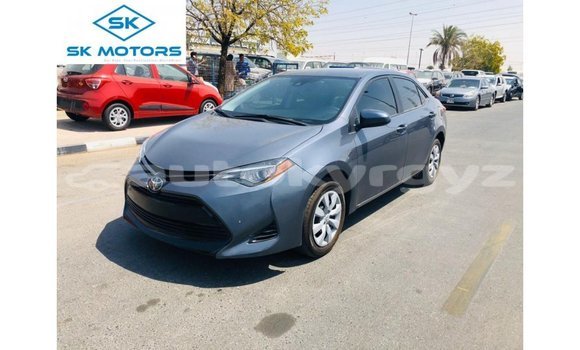 Buy Import Toyota Corolla Other Car in Import - Dubai in Batken