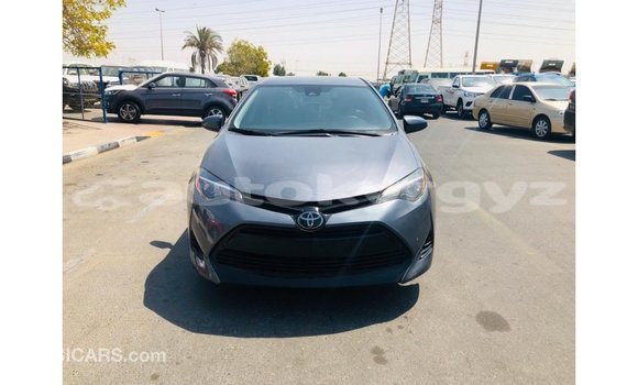 Buy Import Toyota Corolla Other Car in Import - Dubai in Batken Buy Import Toyota Corolla Other Car in Import - Dubai in Batken
