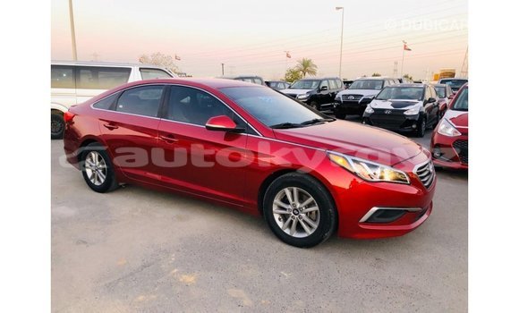 Buy Import Hyundai Sonata Red Car in Import - Dubai in Batken Buy Import Hyundai Sonata Red Car in Import - Dubai in Batken