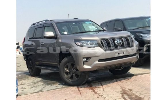 Buy Import Toyota Prado Brown Car in Import - Dubai in Batken