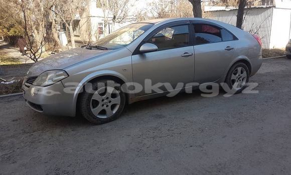 Buy Used Nissan Primera Silver Car in Bishkek in Bishkek