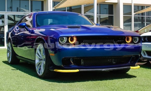 Buy Import Dodge Challenger Blue Car in Import - Dubai in Batken