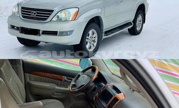 Buy Used Lexus GX White Car in Bishkek in Bishkek Buy Used Lexus GX White Car in Bishkek in Bishkek