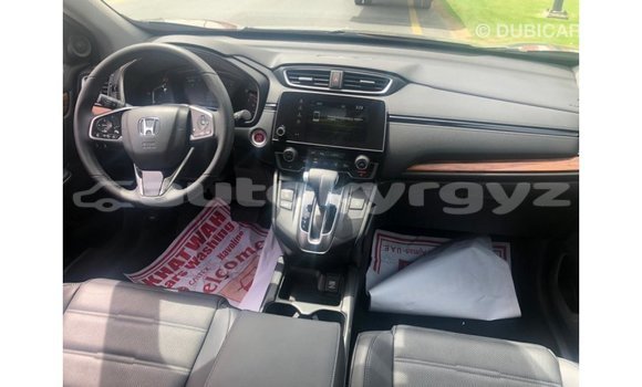 Buy Import Honda C Other Bike in Import - Dubai in Batken Buy Import Honda C Other Bike in Import - Dubai in Batken