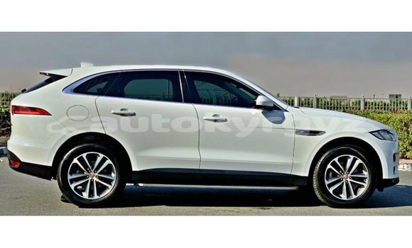 Buy Import Jaguar F-Pace White Car in Import - Dubai in Batken Buy Import Jaguar F-Pace White Car in Import - Dubai in Batken