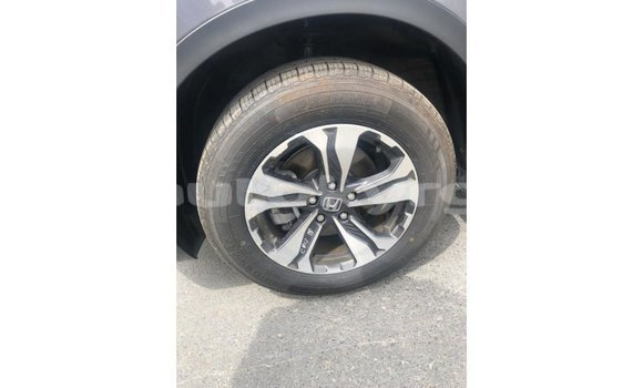 Buy Import Honda C Other Bike in Import - Dubai in Batken Buy Import Honda C Other Bike in Import - Dubai in Batken