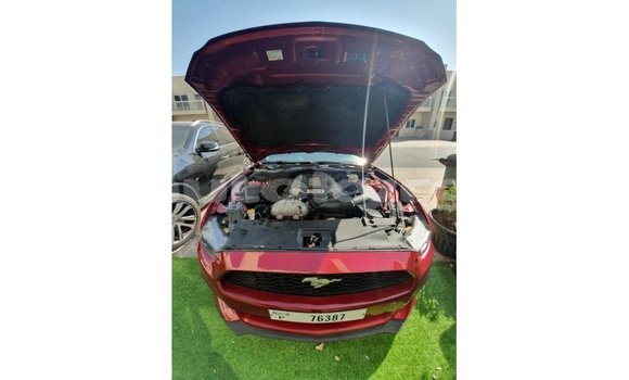 Buy Import Ford Mustang Red Car in Import - Dubai in Batken Buy Import Ford Mustang Red Car in Import - Dubai in Batken