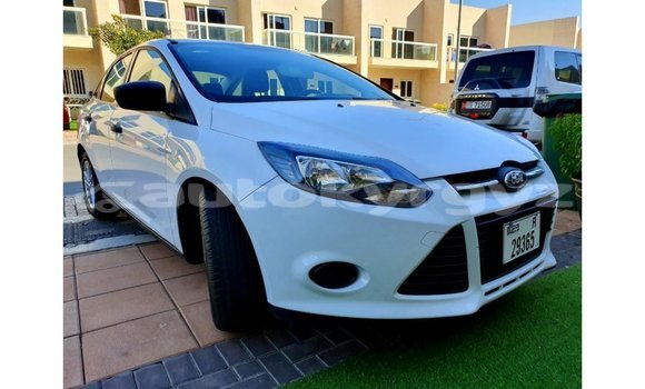 Buy Import Ford Focus White Car in Import - Dubai in Batken