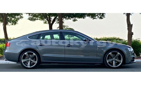 Buy Import Audi 100 Other Car in Import - Dubai in Batken Buy Import Audi 100 Other Car in Import - Dubai in Batken