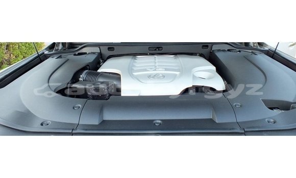 Buy Import Lexus LX Other Car in Import - Dubai in Batken Buy Import Lexus LX Other Car in Import - Dubai in Batken
