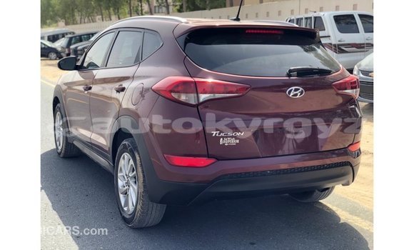 Buy Import Hyundai Tucson Red Car in Import - Dubai in Batken Buy Import Hyundai Tucson Red Car in Import - Dubai in Batken