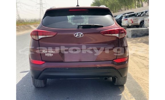 Buy Import Hyundai Tucson Red Car in Import - Dubai in Batken Buy Import Hyundai Tucson Red Car in Import - Dubai in Batken