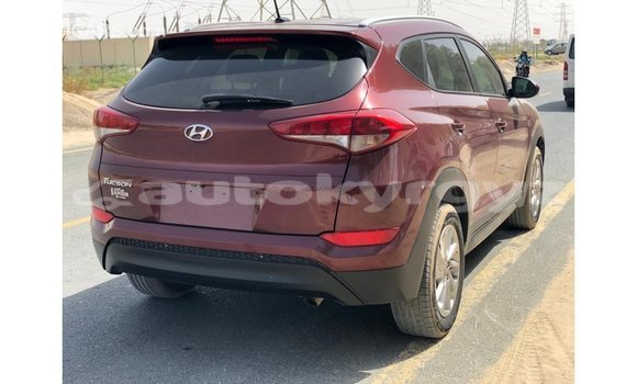Buy Import Hyundai Tucson Red Car in Import - Dubai in Batken Buy Import Hyundai Tucson Red Car in Import - Dubai in Batken