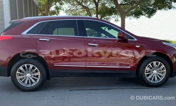 Buy Import Cadillac XT5 Red Car in Import - Dubai in Batken Buy Import Cadillac XT5 Red Car in Import - Dubai in Batken
