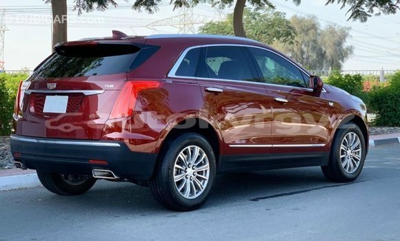Buy Import Cadillac XT5 Red Car in Import - Dubai in Batken Buy Import Cadillac XT5 Red Car in Import - Dubai in Batken