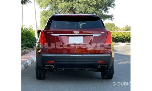Buy Import Cadillac XT5 Red Car in Import - Dubai in Batken Buy Import Cadillac XT5 Red Car in Import - Dubai in Batken
