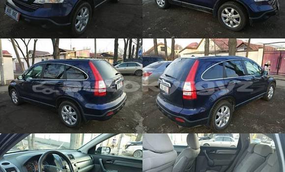 Buy Used Honda CR–V Blue Car in Bishkek in Bishkek Buy Used Honda CR–V Blue Car in Bishkek in Bishkek