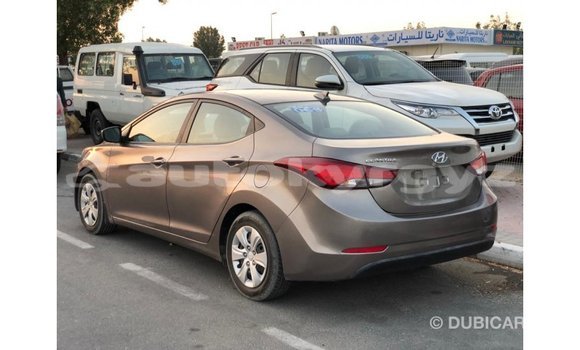 Buy Import Hyundai Elantra Brown Car in Import - Dubai in Batken Buy Import Hyundai Elantra Brown Car in Import - Dubai in Batken