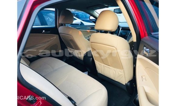 Buy Import Hyundai Sonata Red Car in Import - Dubai in Batken Buy Import Hyundai Sonata Red Car in Import - Dubai in Batken