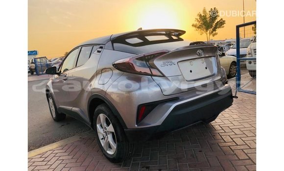 Buy Import Toyota C-HR Other Car in Import - Dubai in Batken Buy Import Toyota C-HR Other Car in Import - Dubai in Batken