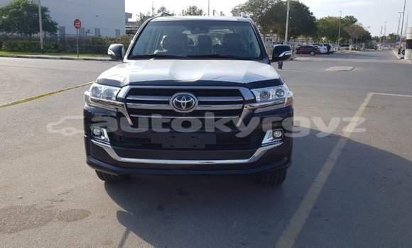 Buy Import Toyota Land Cruiser Black Car in Import - Dubai in Batken
