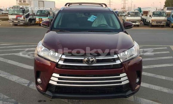 Buy Import Toyota Highlander Other Car in Import - Dubai in Batken Buy Import Toyota Highlander Other Car in Import - Dubai in Batken