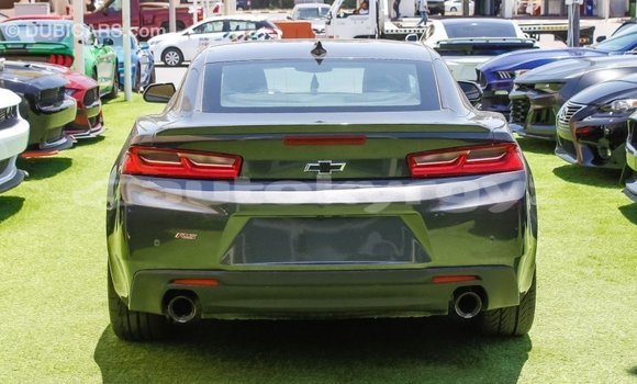 Buy Import Chevrolet Camaro Other Car in Import - Dubai in Batken Buy Import Chevrolet Camaro Other Car in Import - Dubai in Batken